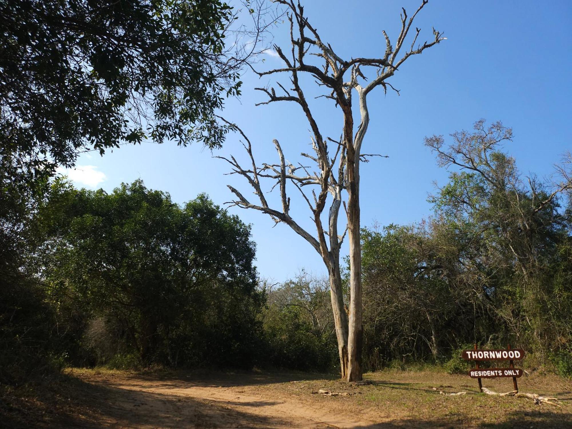 Villa Thornwood à Hluhluwe Extérieur photo
