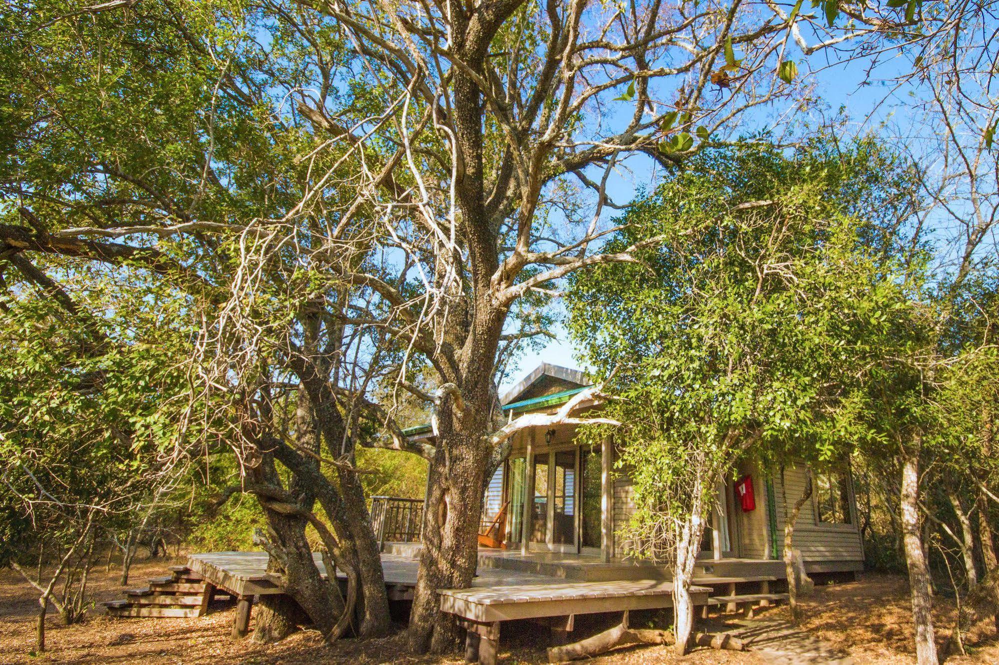 Villa Thornwood à Hluhluwe Extérieur photo